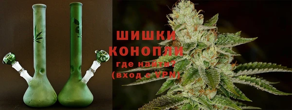 mdpv Богородицк