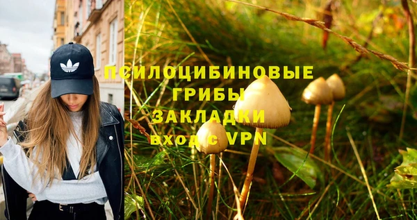 марки lsd Богданович