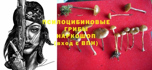 mdpv Богородицк