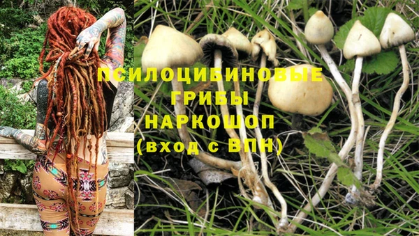 альфа пвп Богородск