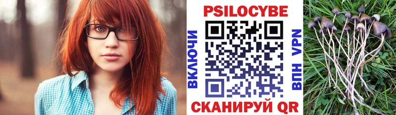 мориарти телеграм  закладки  Волжск  Галлюциногенные грибы Psilocybine cubensis 